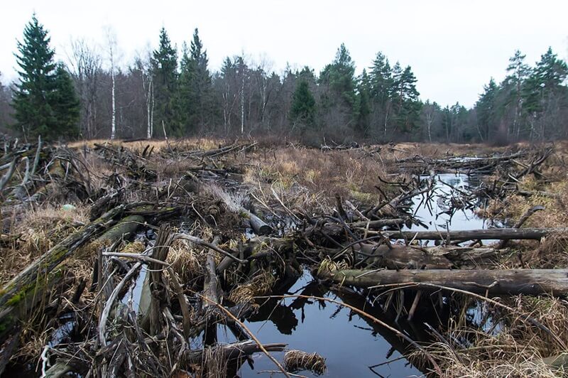 Урочище Шушмор